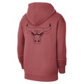 Chicago Bulls Jordan Statement Hoodie