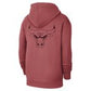 Chicago Bulls Jordan Statement Hoodie