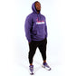 2024 NRL Brisbane Broncos Purple Training Hoodie (Recreated)